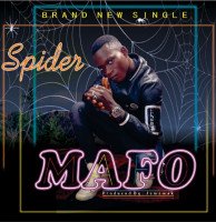 Spider - Mafo