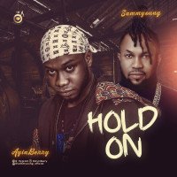 AyinBerry - Hold On