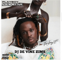 DJ DE VINE ZIMS - FIREBOY PLAYBOY ALBUM MIXTAPE(08160329328)