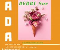 Berri_snr - ADA