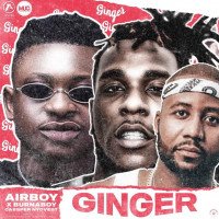 Airboy - Ginger (feat. Burna Boy, Cassper Nyovest)