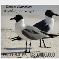 Single - Donzee Chameleon Weather For Two Mp3