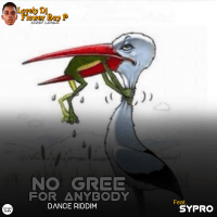 Lovely DJ Flower Boy P - No Gree For Anybody Dance Riddim (NGFA)