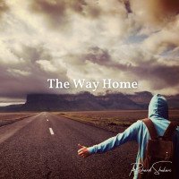 Richard Shekari - The Way Home