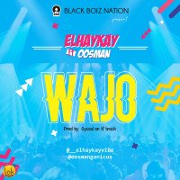 ElHayKay Vibe - Wajo (feat. Oosman)