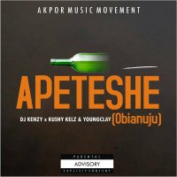 ASHUTA DJ KENZY - Apeteshe