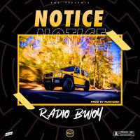 Radiobwoy - Notice