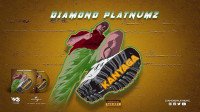 Diamond Platnumz - Kanyaga