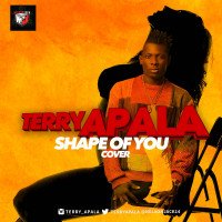 Terry Apala - Shape Of You (Ed Sheeran Cover)