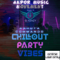 ASHUTA DJ KENZY - Ashuta COMMANDO Chillout Party Vibes