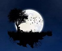 Anamachi ft T-rex & Lucid - Love Tonight