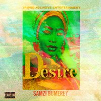 Samzi Bumerey - Desire