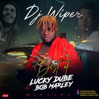 Lucky dube - Best Of Lucky Dube & Bob Marley