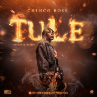 Chinco Boss - Tule