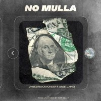 DweezyBwoiWonder - No Mulla