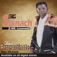 The Spinach - Don't Procrastinate (Remix)