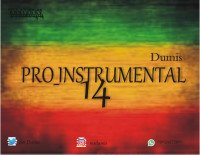 Dumis - Pro_instrumental-14