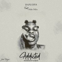 Dani DYS - ADDICTED