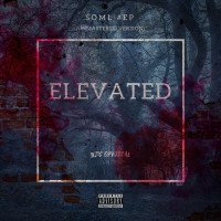 YDC Official - ELEVATED (Unmastered)
