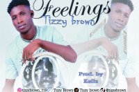 Tizzy brown Official - Feelings