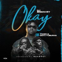 DJ Enimoney - Okay (feat. Dapo Tuburna, Terry G)