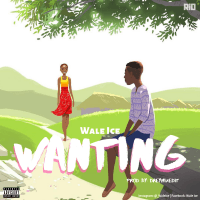 Wale ice - WANTING