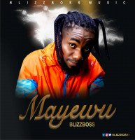 Blizzboss - Mayewu