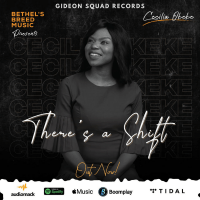 Cecilia Okeke - There's A Shift