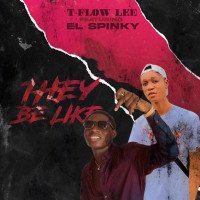 Tflow Lee - They Be Like (feat. El Spinky)