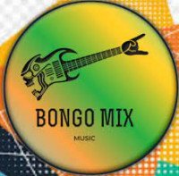 Dj Shubzy - Egwu Bongo Igbo Mixtape