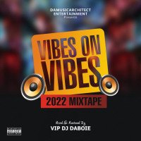 VipDj_Daboie - Vibes_On_Vibes 2022 Mixtape
