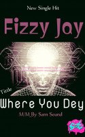 Fizzy Jay z - Where You Dey