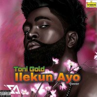 Toni Gold - Ilekun Ayo [Cover]