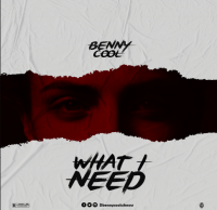 Benny Cool - What I Need