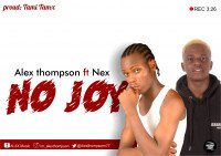 im_alexthompson - No Joy