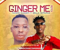 Haisho Suaggar - Ginger Me Remix