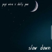 papi wire - Slow Down (feat. dolly p)