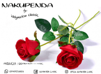 iddynation classictz - Iddynation Classic Nakupenda