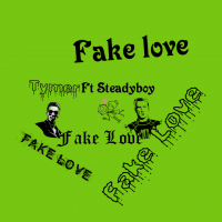 Tymer ft steadyboy - Fake Love