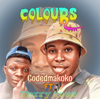 Codedmakoko - Colours (feat. Perry ross)