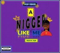 Pop vince - Nigger Like Me