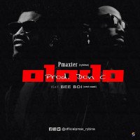 PMAXTER - OLODO