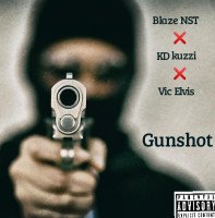 Blaze NST Ft KD Kuzzi And Vic Elvis - Gunshot