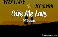 Vizzyboy ft Ice Bird - GIVE ME LOVE