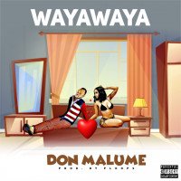 Don Malume Music - WayaWaya
