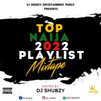 Dj Shubzy - Top Naija 2022 Playlist Mixtape