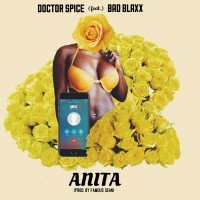 Doctor Spice - Anita