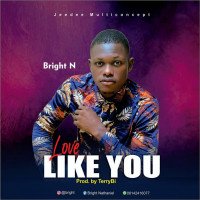 Bright N - Love Like You