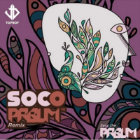 Sess - Soco (PRBLM Remix) (feat. Wizkid)