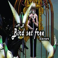 M.B - Bird Set Free
